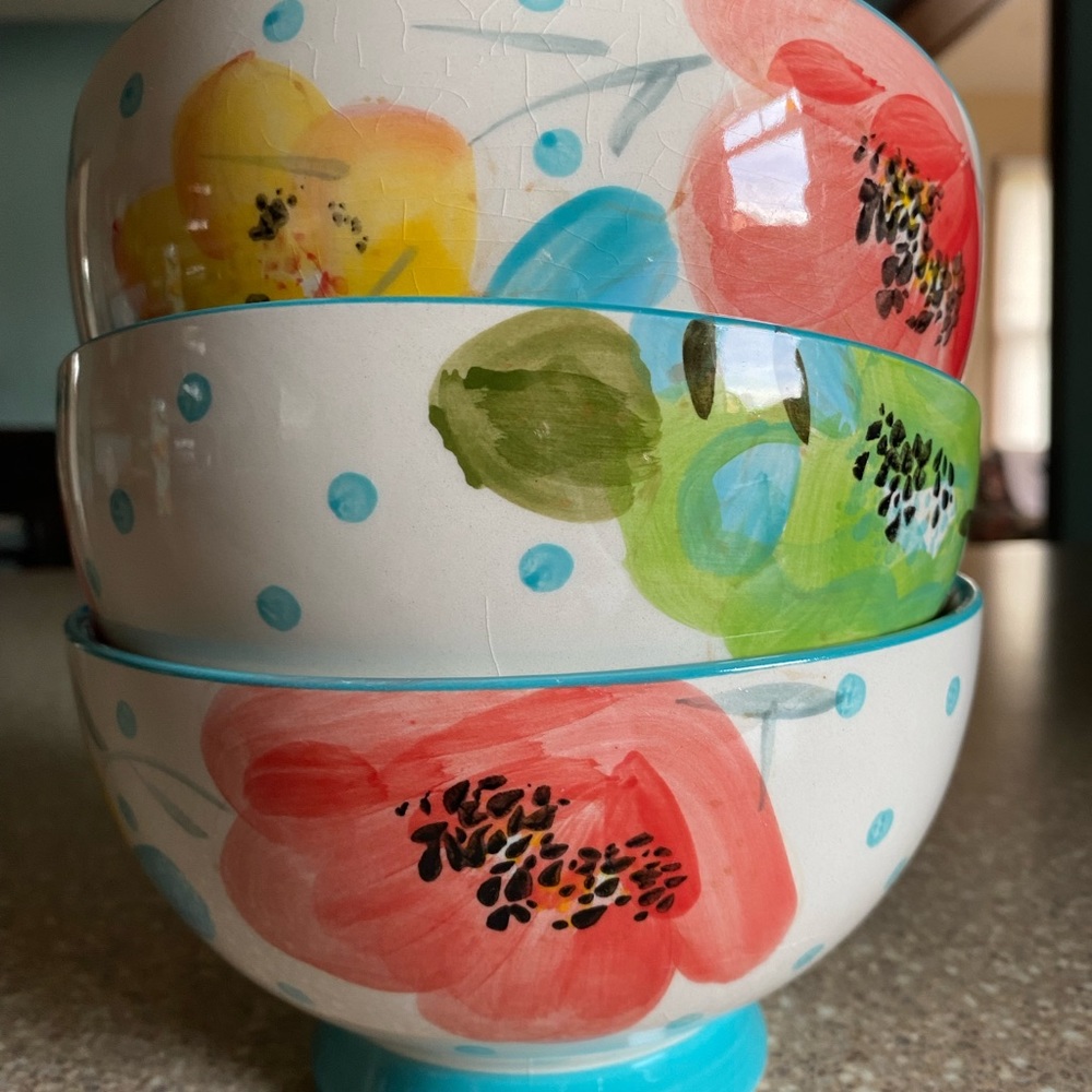 Pioneer Woman salad/cereal bowls